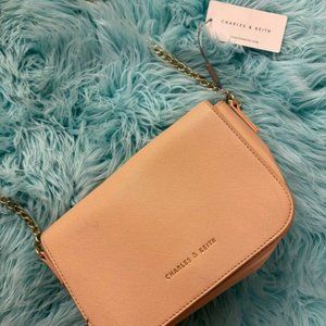 Charles & Keith Bag (new with tags)